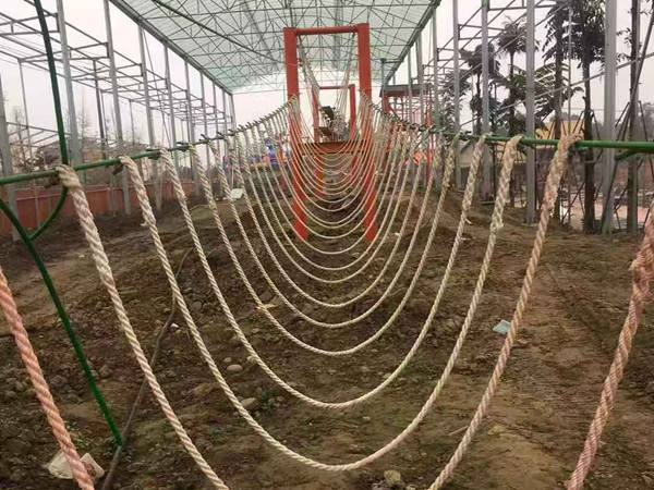 叢林穿越游樂項(xiàng)目