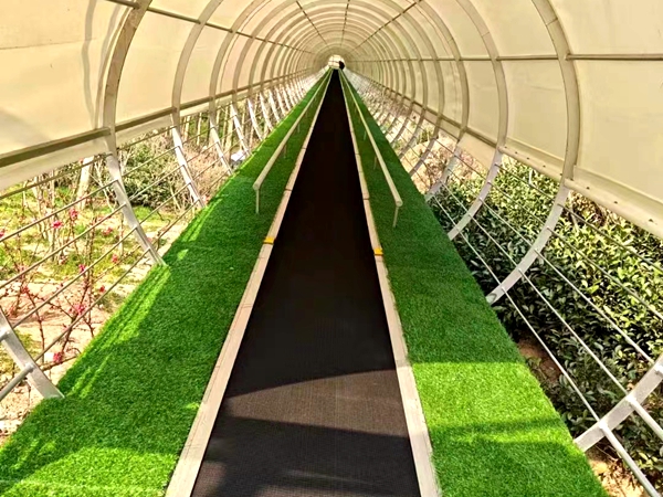 飛天魔毯 飛天魔毯